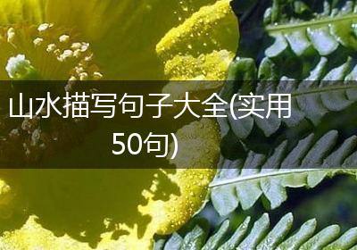 山水描写句子大全(实用50句)