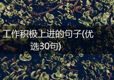 工作积极上进的句子(优选30句)