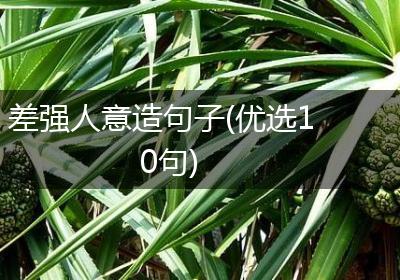 差强人意造句子(优选10句)