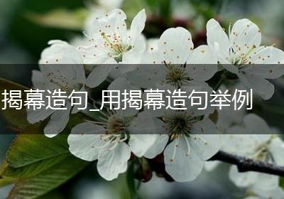 揭幕造句_用揭幕造句举例