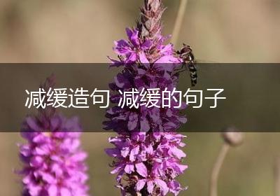 减缓造句 减缓的句子