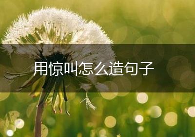 用惊叫怎么造句子