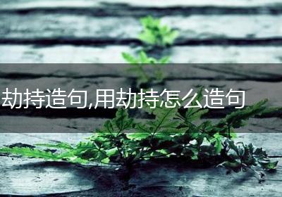 劫持造句,用劫持怎么造句