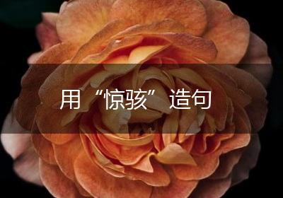 用“惊骇”造句