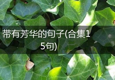 带有芳华的句子(合集15句)