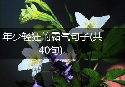 年少轻狂的霸气句子(共40句)