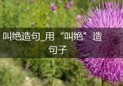 叫绝造句_用“叫绝”造句子