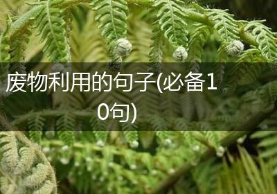 废物利用的句子(必备10句)
