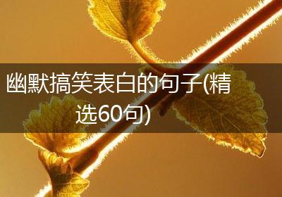 幽默搞笑表白的句子(精选60句)