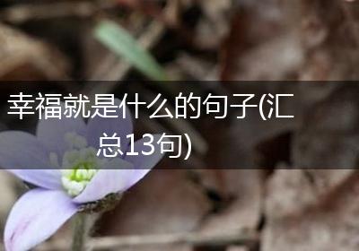 幸福就是什么的句子(汇总13句)
