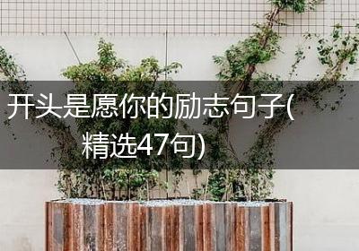 开头是愿你的励志句子(精选47句)