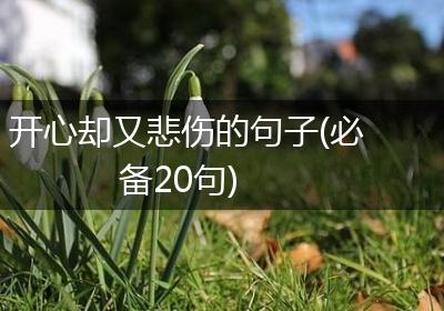 开心却又悲伤的句子(必备20句)