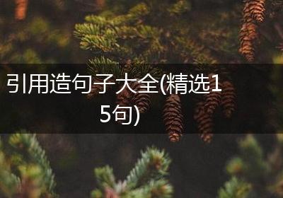 引用造句子大全(精选15句)