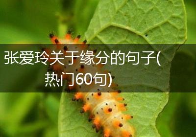 张爱玲关于缘分的句子(热门60句)