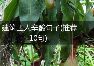 建筑工人辛酸句子(推荐10句)