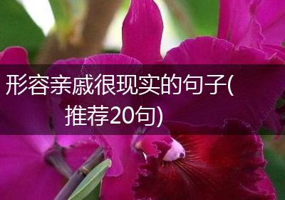 形容亲戚很现实的句子(推荐20句)