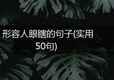 形容人眼瞎的句子(实用50句)