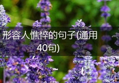形容人憔悴的句子(通用40句)