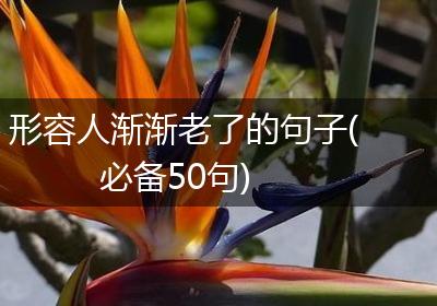 形容人渐渐老了的句子(必备50句)