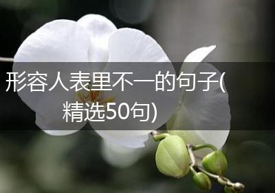 形容人表里不一的句子(精选50句)