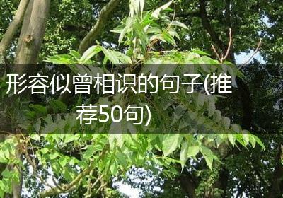 形容似曾相识的句子(推荐50句)