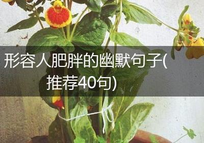 形容人肥胖的幽默句子(推荐40句)