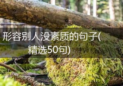 形容别人没素质的句子(精选50句)