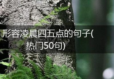 形容凌晨四五点的句子(热门50句)