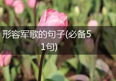 形容军歌的句子(必备51句)