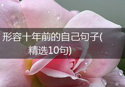形容十年前的自己句子(精选10句)