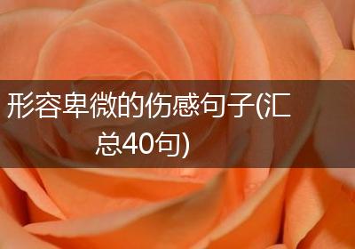 形容卑微的伤感句子(汇总40句)