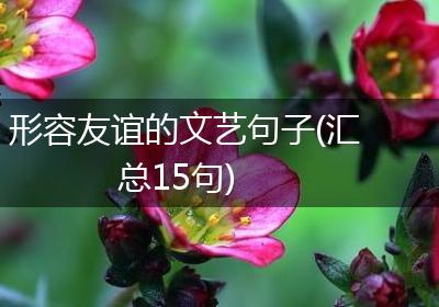 形容友谊的文艺句子(汇总15句)