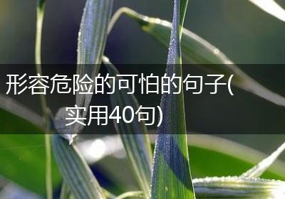 形容危险的可怕的句子(实用40句)
