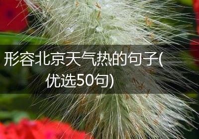 形容北京天气热的句子(优选50句)
