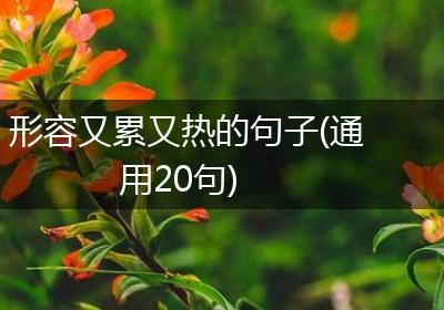 形容又累又热的句子(通用20句)