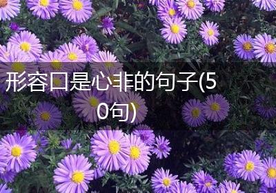 形容口是心非的句子(50句)