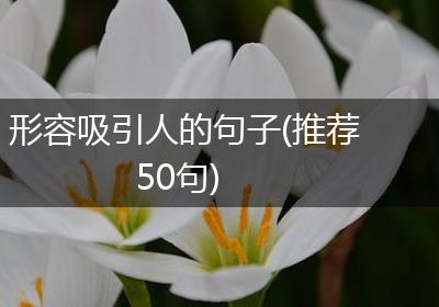 形容吸引人的句子(推荐50句)