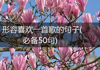 形容喜欢一首歌的句子(必备50句)