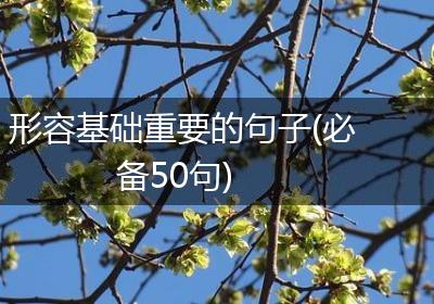 形容基础重要的句子(必备50句)