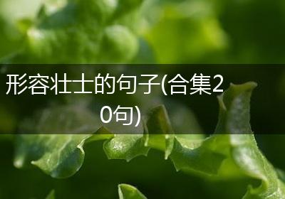形容壮士的句子(合集20句)