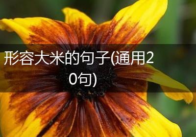 形容大米的句子(通用20句)