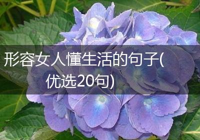 形容女人懂生活的句子(优选20句)