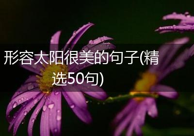 形容太阳很美的句子(精选50句)