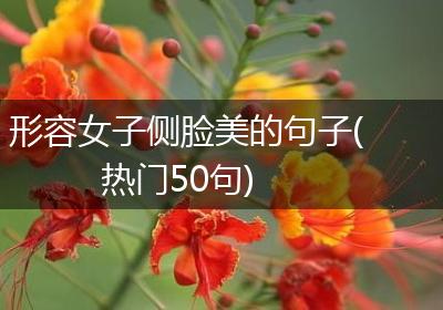 形容女子侧脸美的句子(热门50句)
