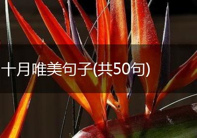 十月唯美句子(共50句)