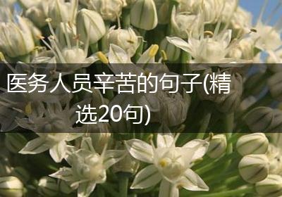 医务人员辛苦的句子(精选20句)