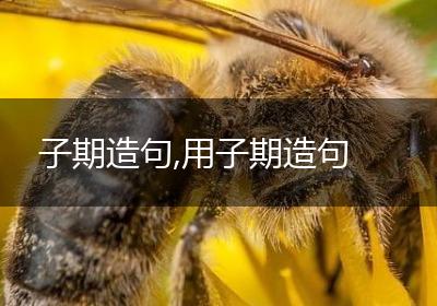 子期造句,用子期造句