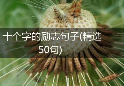 十个字的励志句子(精选50句)