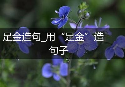 足金造句_用“足金”造句子