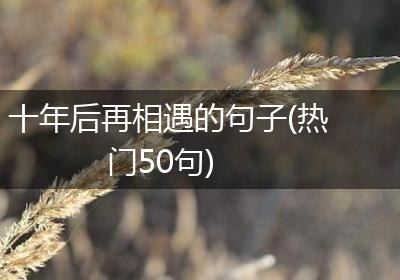 十年后再相遇的句子(热门50句)
